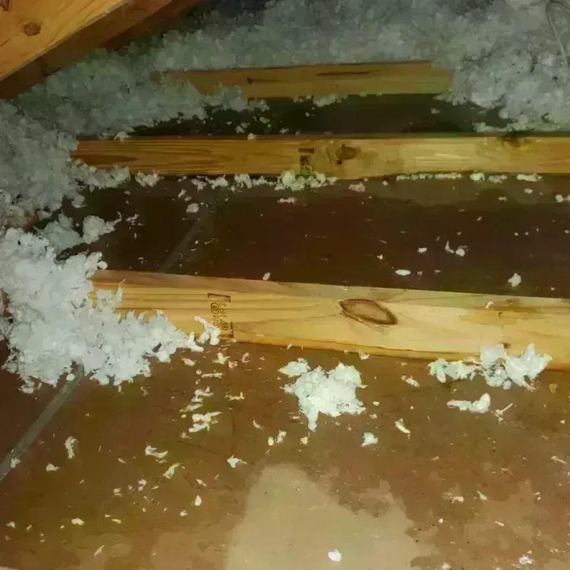 Attic Water Damage in Colrain, MA